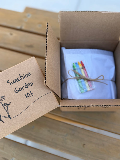 Sunshine Garden Kit for Kids- Grow Your Own Flowers