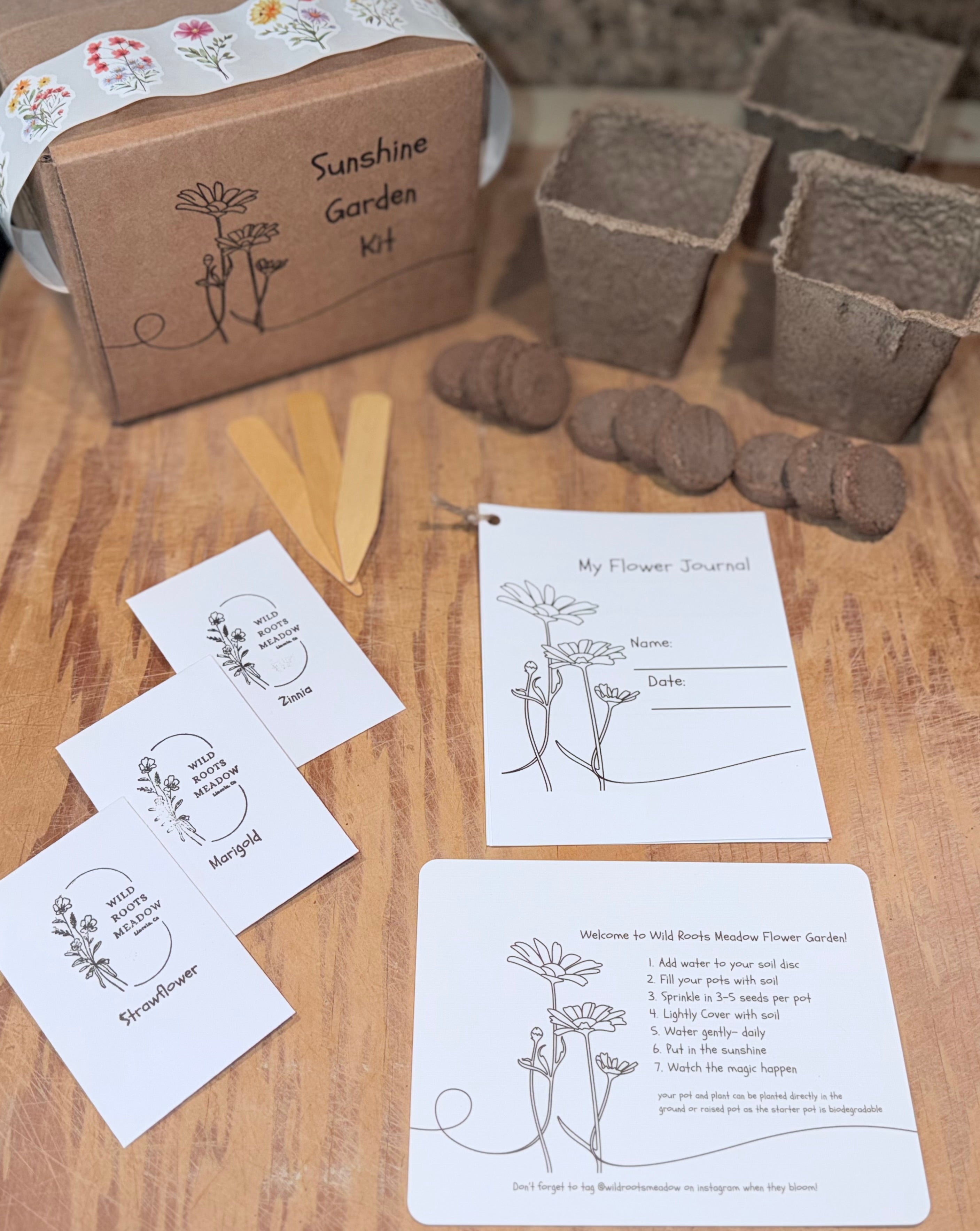 Sunshine Garden Kit for Kids- Grow Your Own Flowers